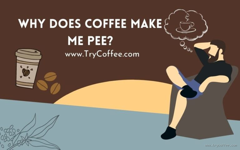 Why Does Coffee Make Me Pee Every 15 Minutes?