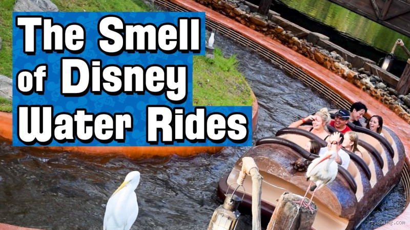 Why Does Disney Water Smell Different?