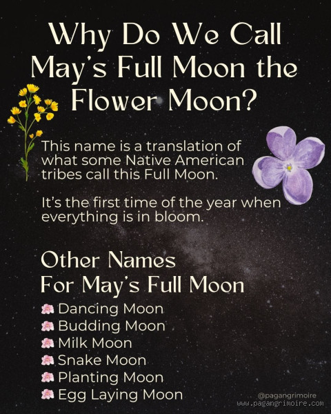 Why Is It Called Flower Moon? Exploring the Meaning Behind the Name