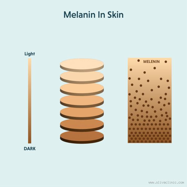 Why Is Melanin Important? More Than Just Skin Deep