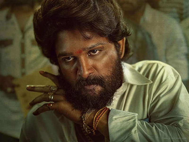 Why Did Pushpa Fail? Analyzing the Reasons Behind the Disappointment