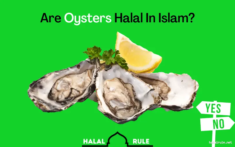 Can Muslims Eat Oyster? Unpacking Halal and Seafood
