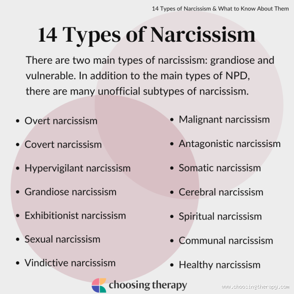 Do Narcissists Ever Get Attached? Exploring the Complexity of Narcissism