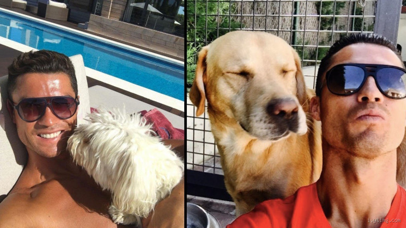 How Many Pets Does Ronaldo Have? A Peek Into His Life With Animals