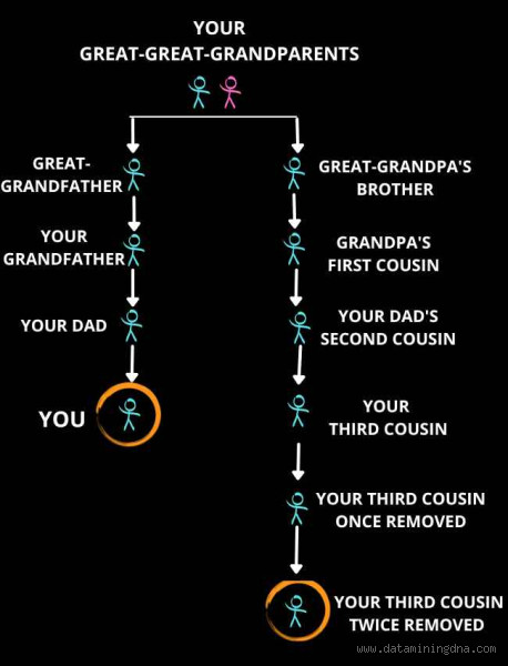 Is Dating Your 3rd Cousin Wrong? Genetic Risks, Legal and Social Implications