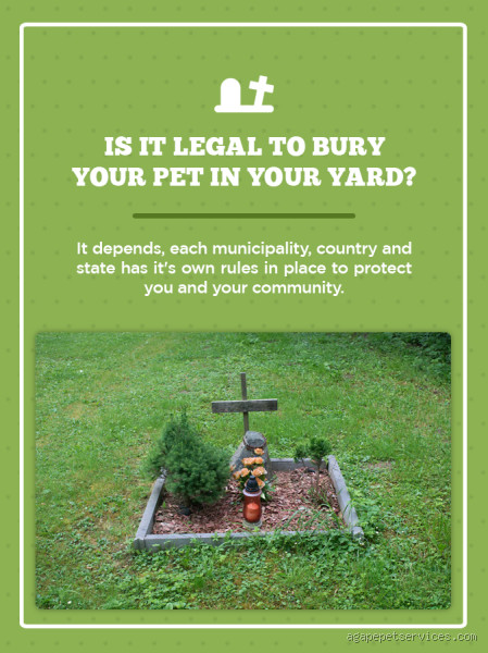 Is it Illegal to Bury Your Pet in the UK? What You Need to Know