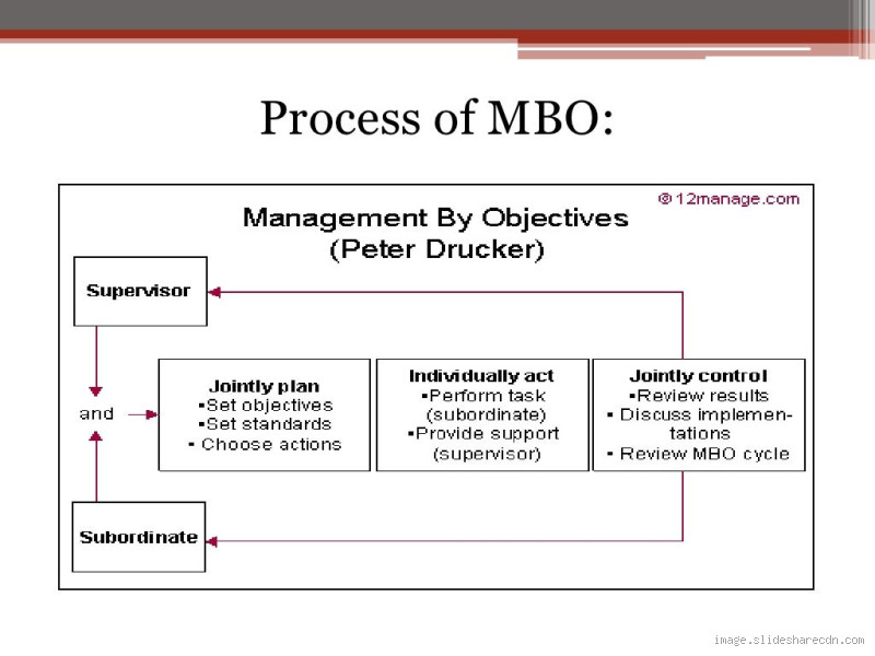 What is the Difference Between MBO and MBE? Understanding the Key Distinctions
