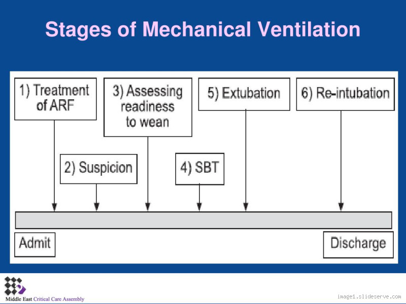What Is the Last Stage of Ventilator? Understanding the Critical Phase
