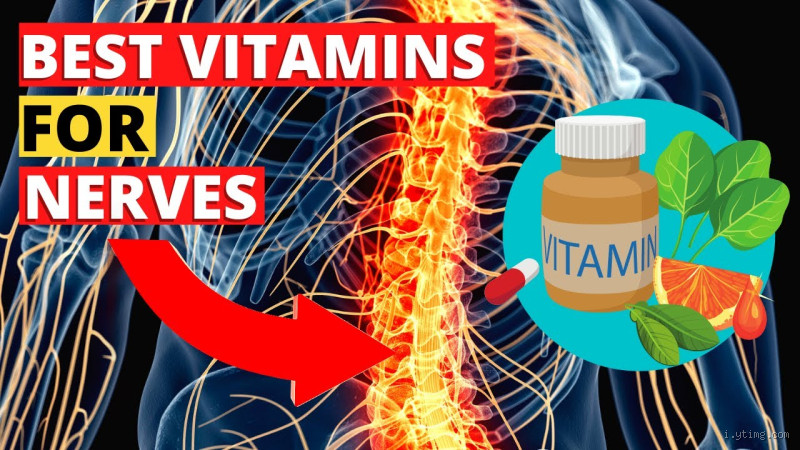 What Vitamins Help Nerves? Essential Nutrients for Nervous System Health