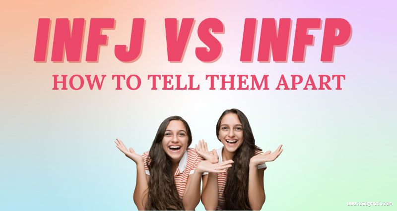 Who Understands People Better: INFP or INFJ?