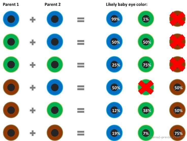 Can You Have Green Eyes If Your Parents Have Brown and Blue?