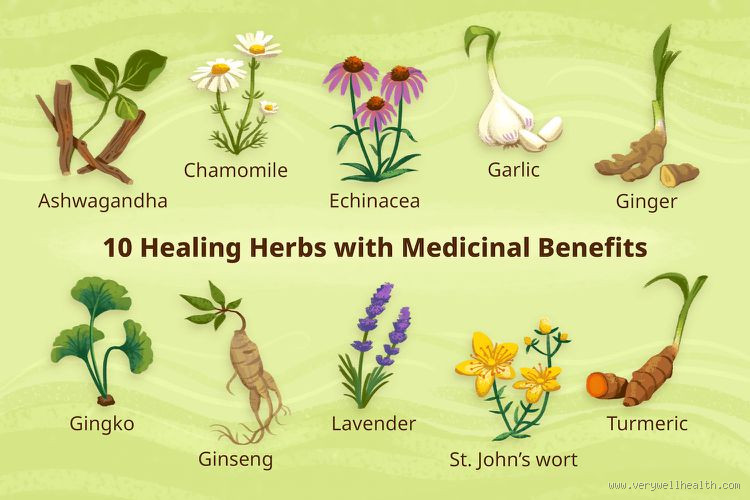 Do Herbs Have a Frequency? The Truth May Surprise You