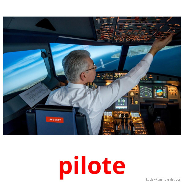 Do You Have to Know French to Be a Pilot? Here's What You Need to Know