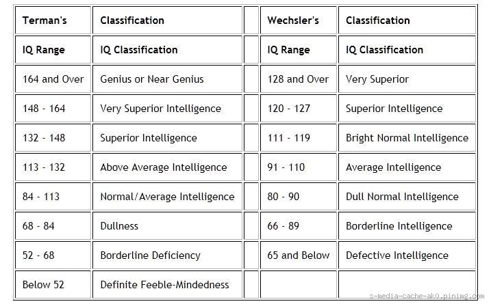 Does Anyone Have an IQ of 240? Exploring the Possibility