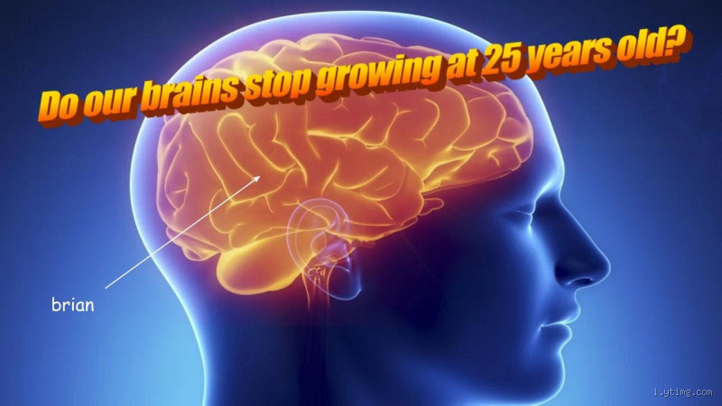 Does the Brain Stop Developing at 25? Unveiling the Truth