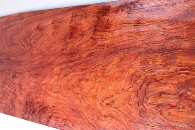 How Expensive is African Rosewood: Pricing and Value Guide?