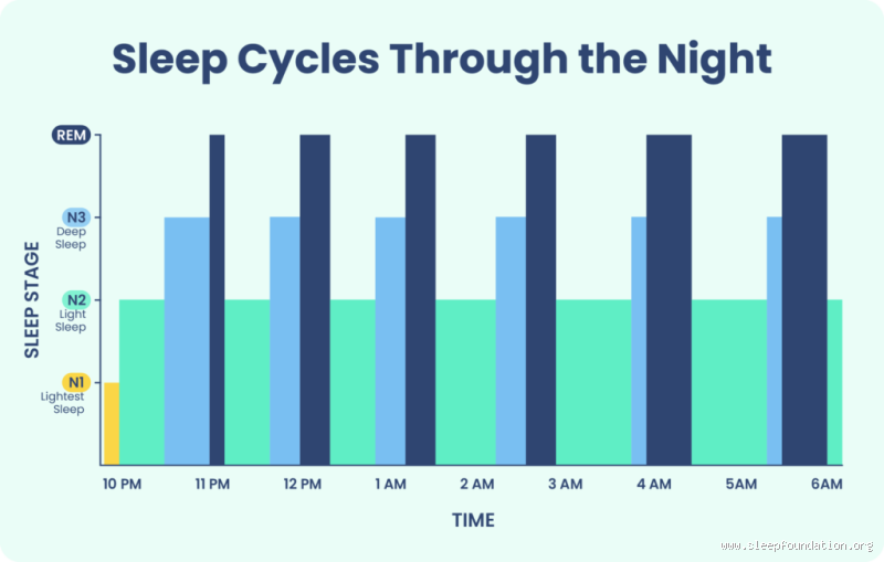Is 11 pm to 7 am the Most Natural Time for Sleep for Humans?