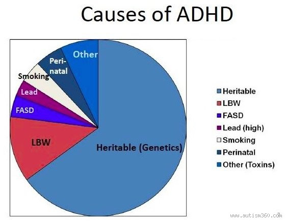 Is ADHD Caused or Are You Born With It? The Truth Behind ADHD