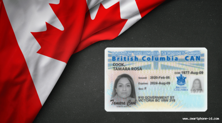 Is BC ID Mandatory? What You Need to Know About BC Identification