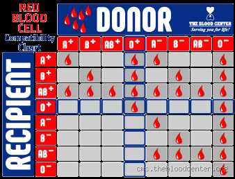 Is Milk Good for O Positive Blood Type? Here's What You Need to Know