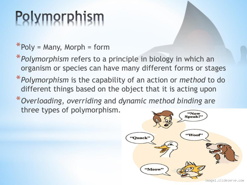 What Does Polymorphism Include in Biology and Computer Science?