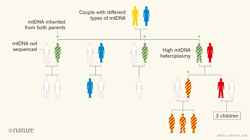 What Genes Are Only Inherited from Father? Discover Fascinating Genetic Secrets