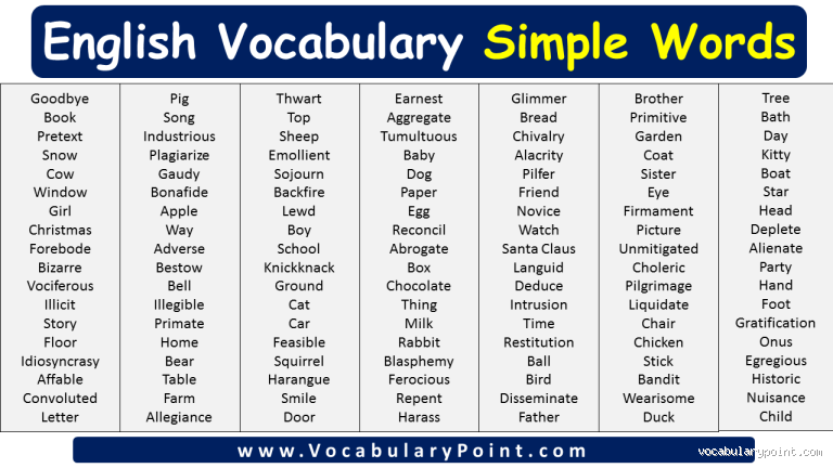 What is 2 5 in Words Form? The Simple Answer You Need