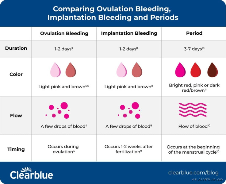 What Does Ovulation Bleeding Look Like? Understanding the Signs
