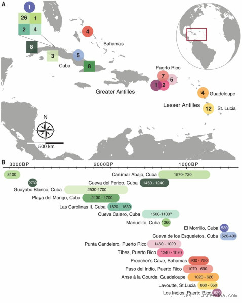What is the Genetic Makeup of the Caribbean? Discover the Unique Heritage