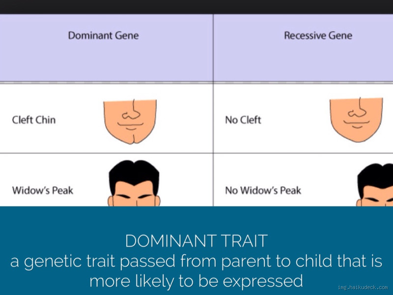 What is the Rarest Dominant Trait? Uncover the Mystery!