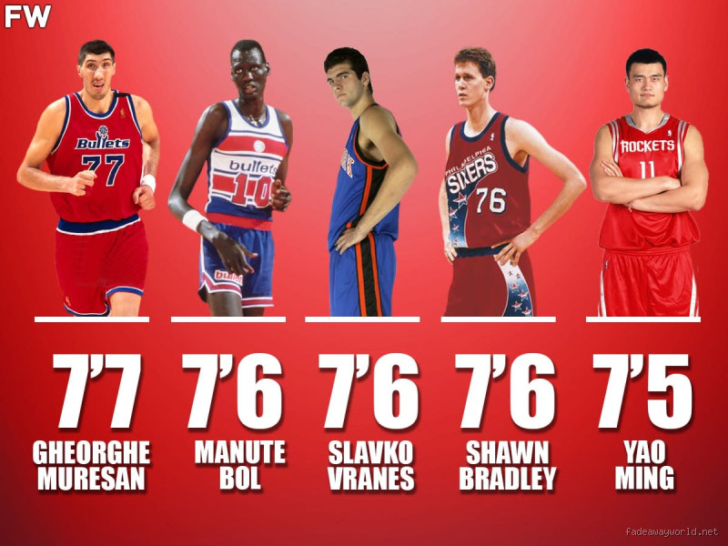 What NBA Player Is 7'4? Meet the Tallest Star on the Court