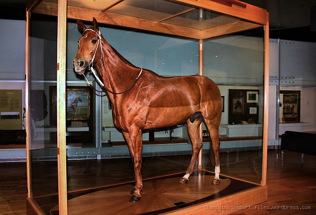 What Was the Reason Phar Lap Died: Uncovering the Mystery Behind His Sudden Death?