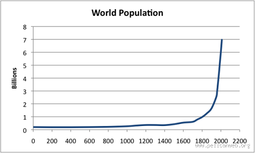 What Was the World Population at Year 0?