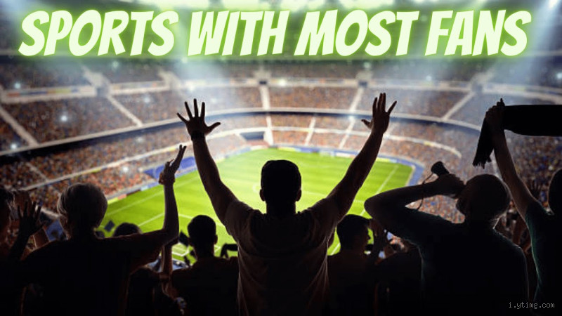 Which Sport Has the Biggest Fan Base? The Ultimate Breakdown