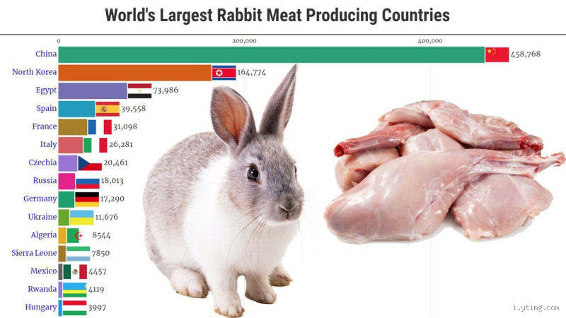 Who is the Largest Consumer of Rabbit Meat Globally?