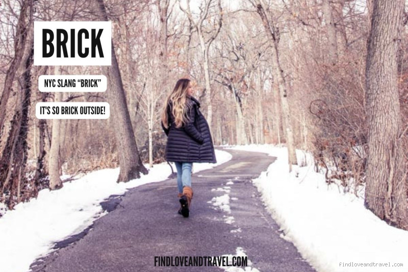 Why Do New Yorkers Say It's "Brick"? Exploring the Meaning Behind Cold Weather Slang